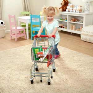 Carrito de la compra de metal